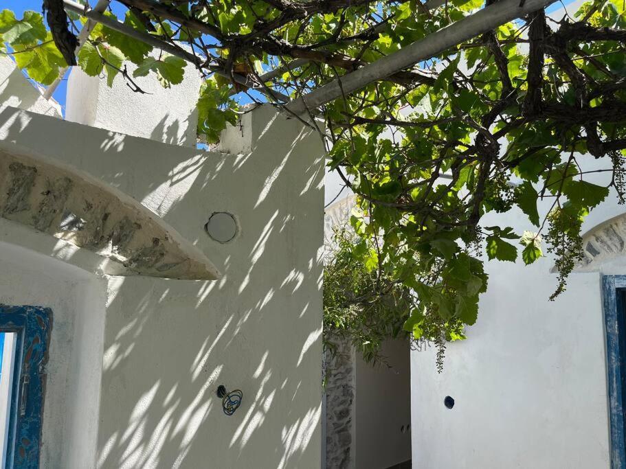Dream House Little Villa - Amorgos Zewnętrze zdjęcie