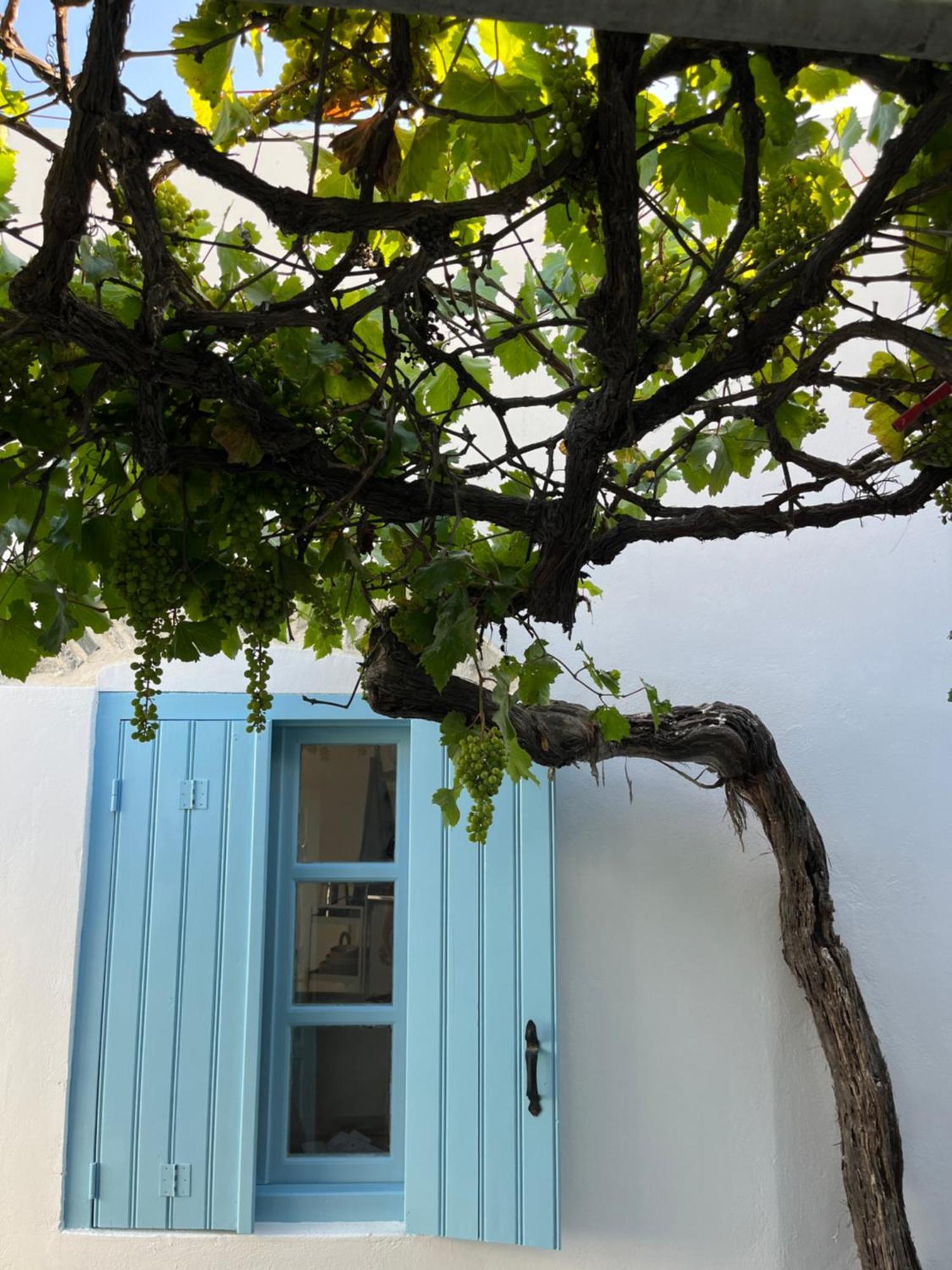 Dream House Little Villa - Amorgos Zewnętrze zdjęcie