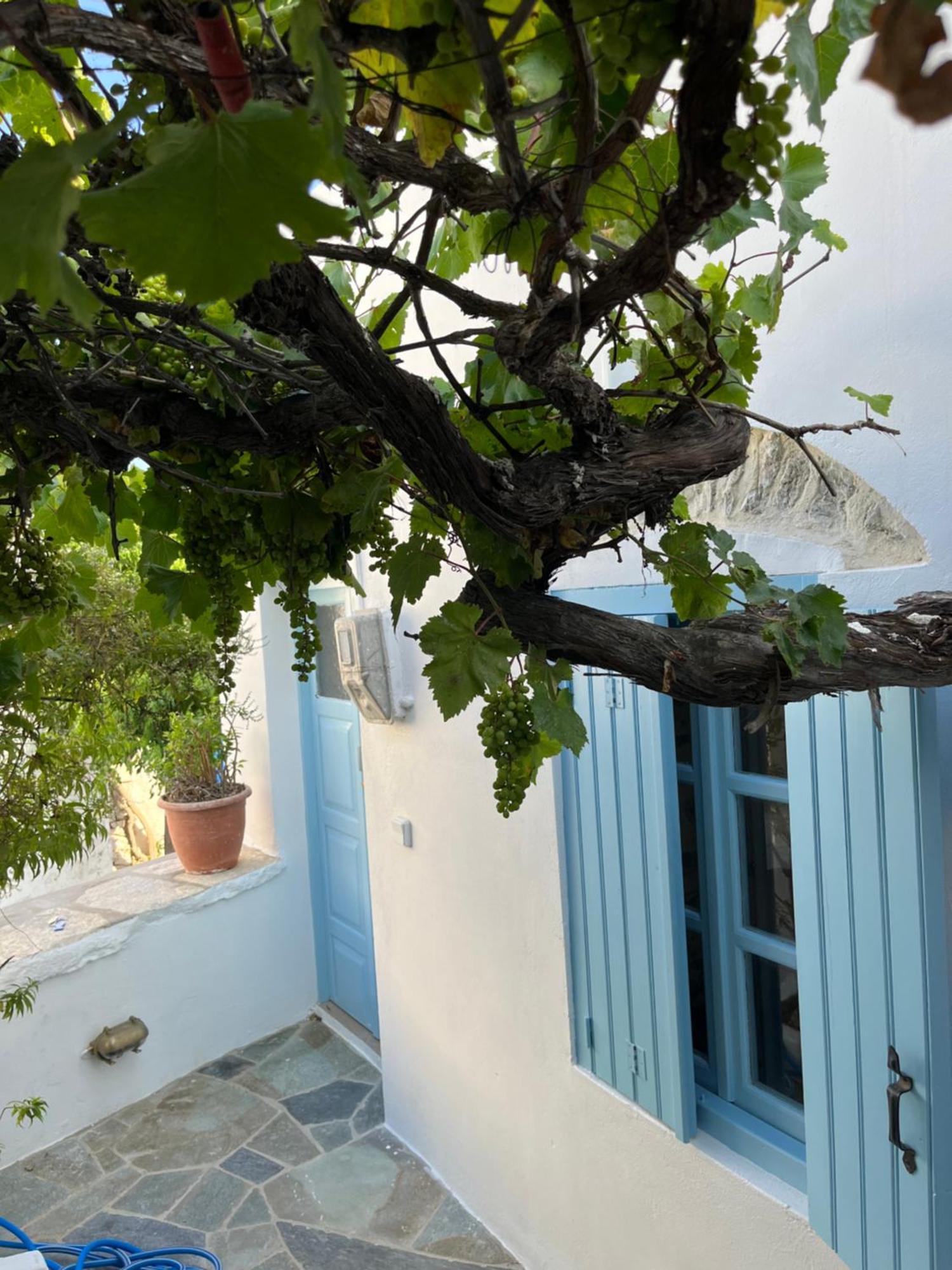 Dream House Little Villa - Amorgos Zewnętrze zdjęcie